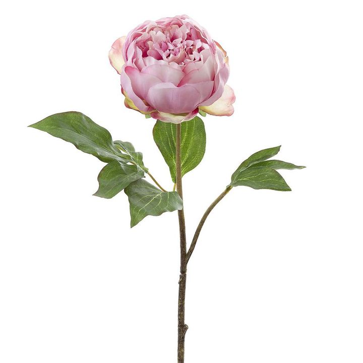 Peony Spray 60cm Pink