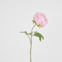 Peony Spray 60cm Pink