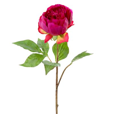 Peony Spray 60cm Fuchsia