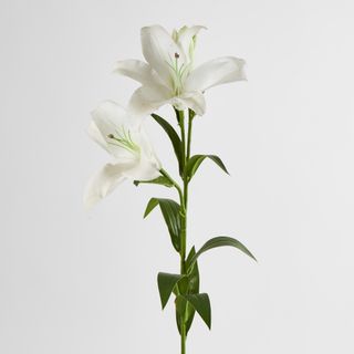 Lily Real Touch 90cm White