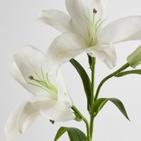 Lily Real Touch 90cm White