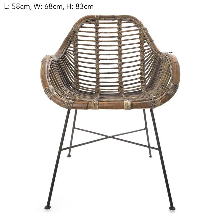 Rattan ArmChair Iron Natural