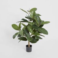 Rubber Plant Tree 96cm