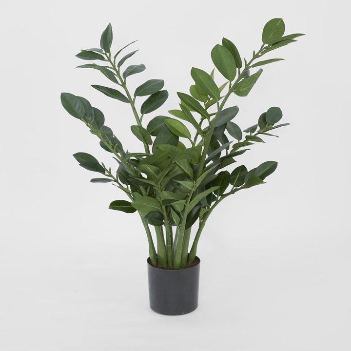 Smargago Potted Plant 66cm