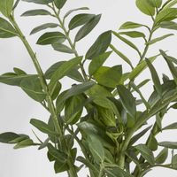 Smargago Potted Plant 90cm