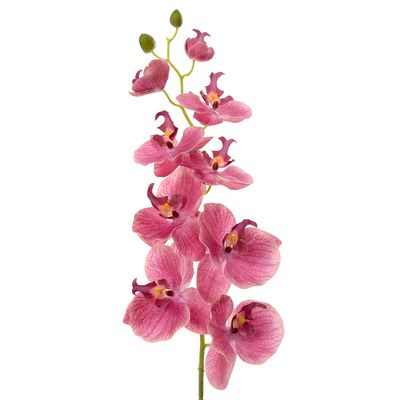 Orchid Phalaenopsis Spray 74cm Pink