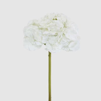 Hydrangea 50cm Snow White
