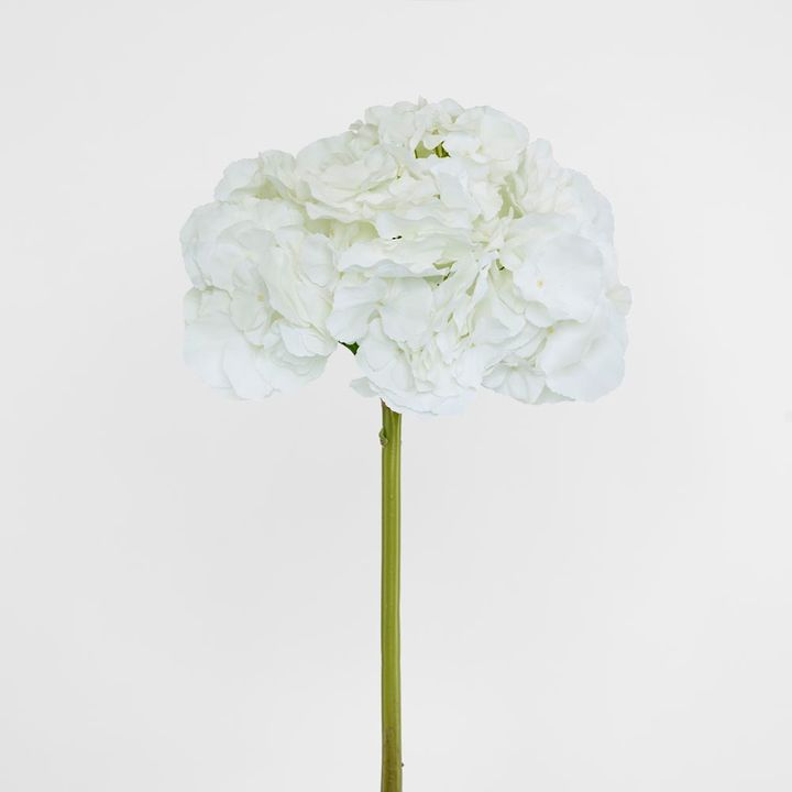 Hydrangea 50cm Snow White