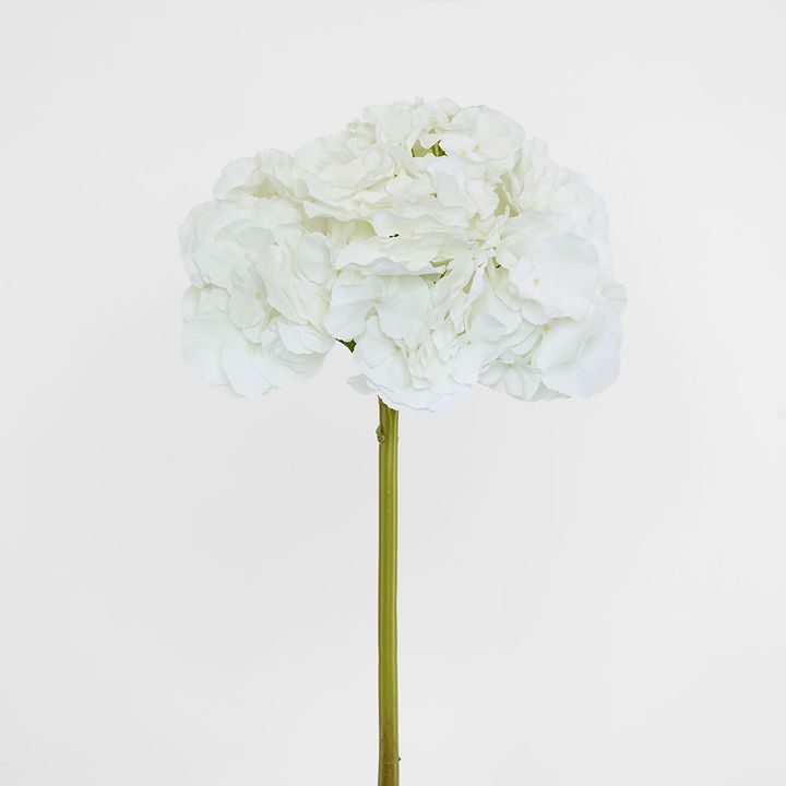 Hydrangea 50cm Snow White