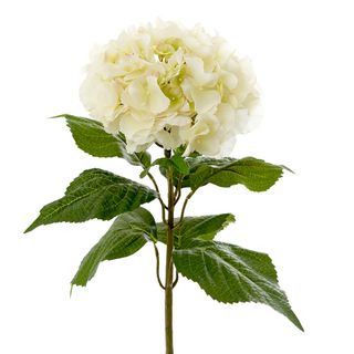 Hydrangea with Leaf 65cm Cream