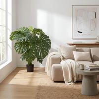 Monstera Split Philo 98cm