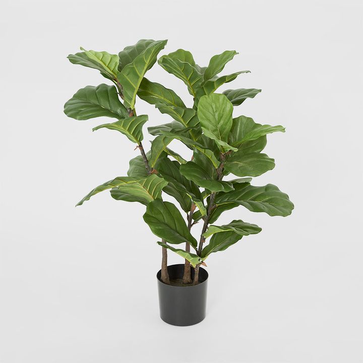 Fiddle Leaf Tree 93cm