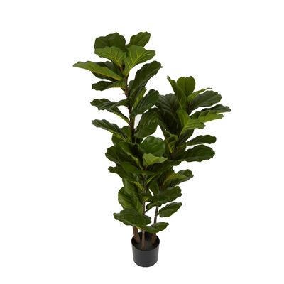 Fiddle Leaf Tree 1.33m