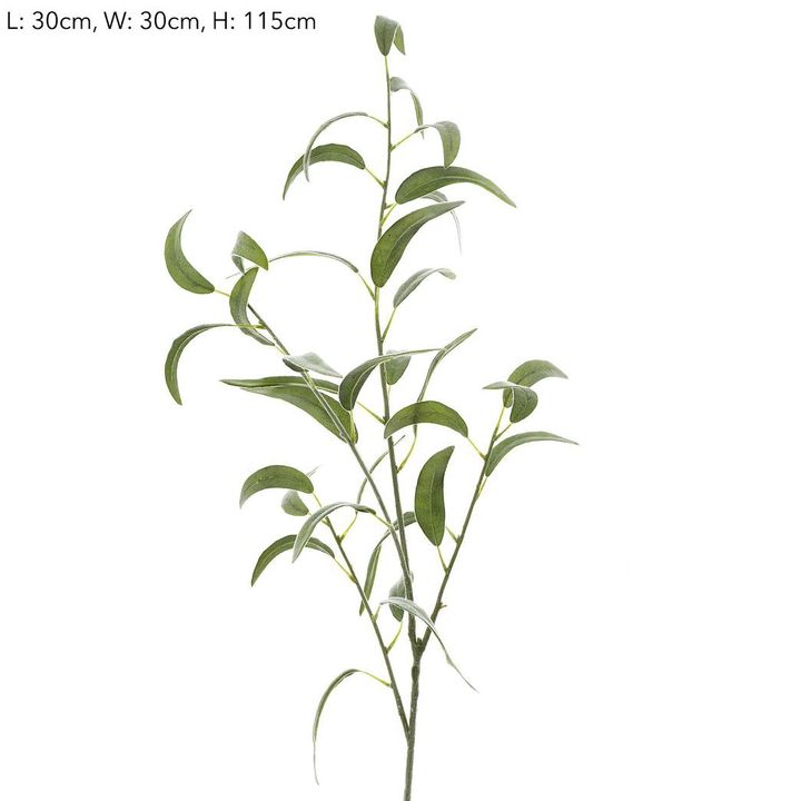 Eucalyptus leaf Spray Thin Leaves 1.15m