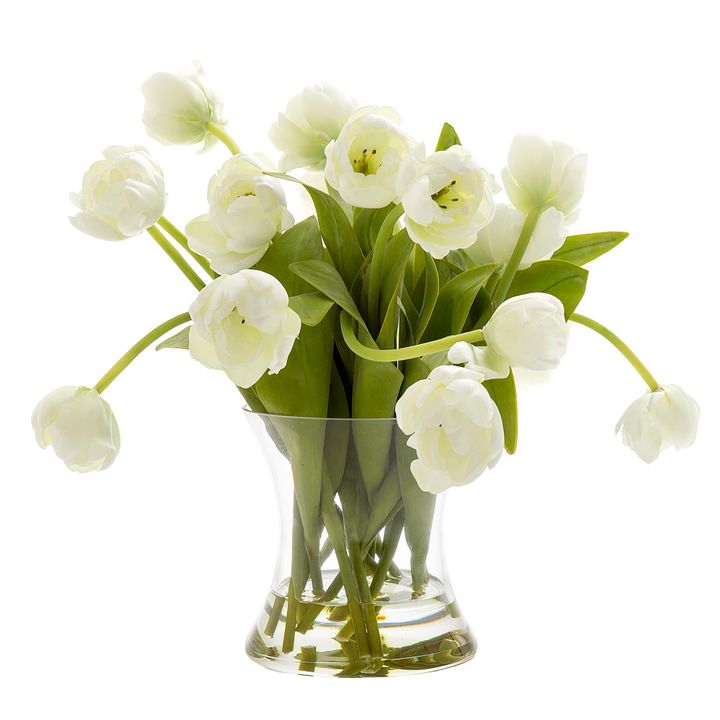 Tulip in Water in Glass Vase White