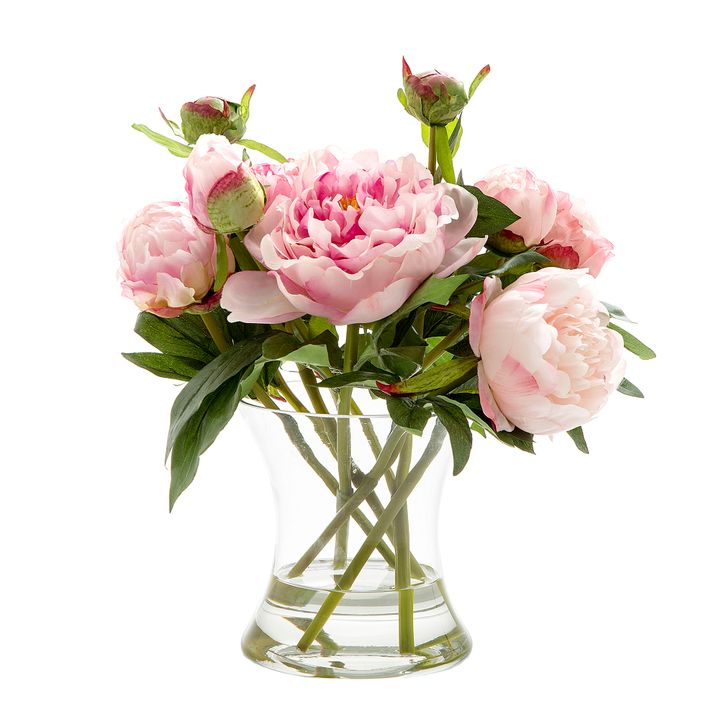 Peony in Water in Glass Vase Dk Pink