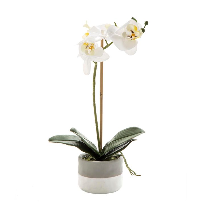 Orchid in Grey Pot Small 40cm White