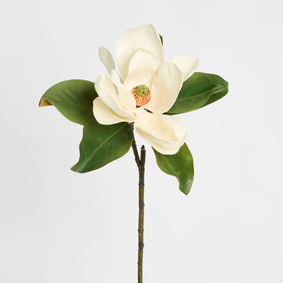 Magnolia 77cm White