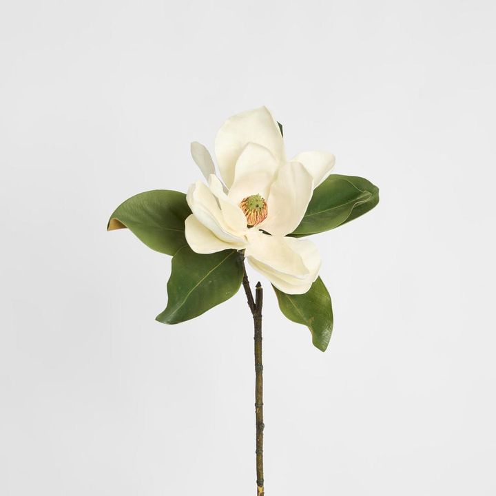 Magnolia 77cm White