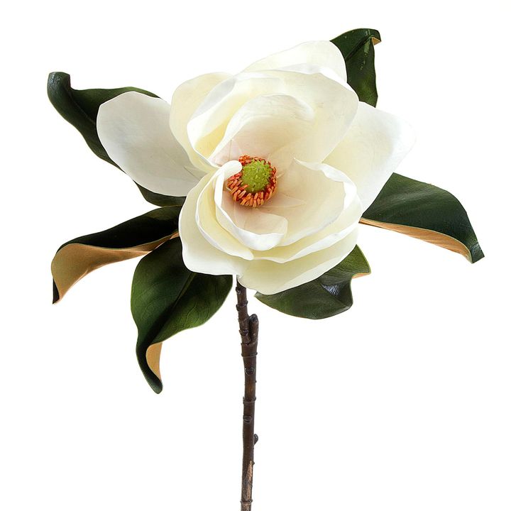 Magnolia 77cm White