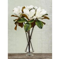 Magnolia 77cm White