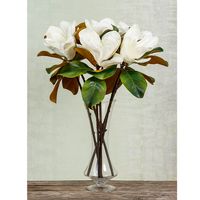 Magnolia 77cm White