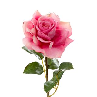 Rose True Touch 50cm Dark Pink