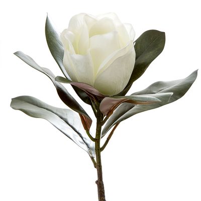 Magnolia Single Head 70cm White