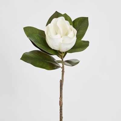 Magnolia Single Head 70cm White