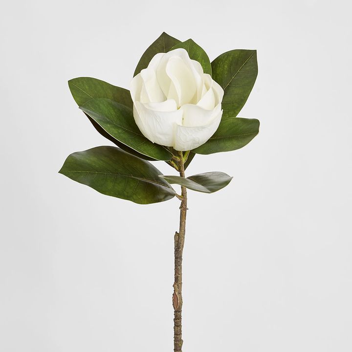 Magnolia Single Head 70cm White