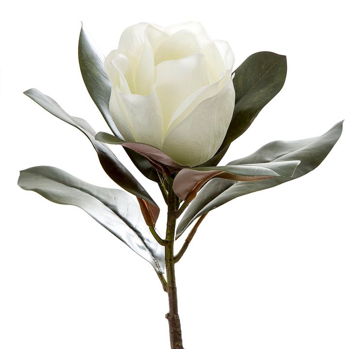 Magnolia Single Head 70cm White