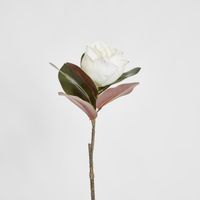 Magnolia Single Head 70cm White