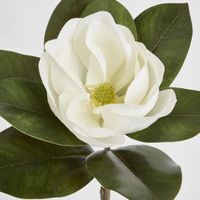 Magnolia Single Head 70cm White