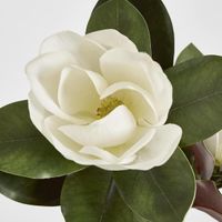 Magnolia Large 2 Heads 85cm White