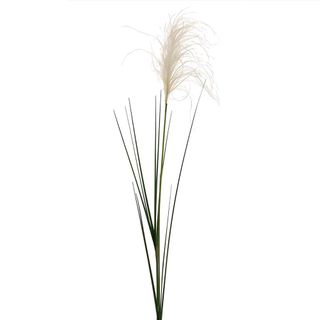 Reed Grass Spray 74cm