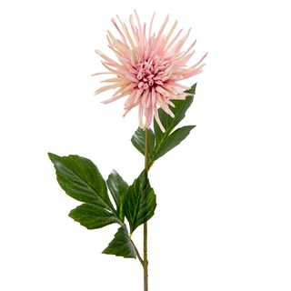 Dahlia Short Stem 66cm Pink