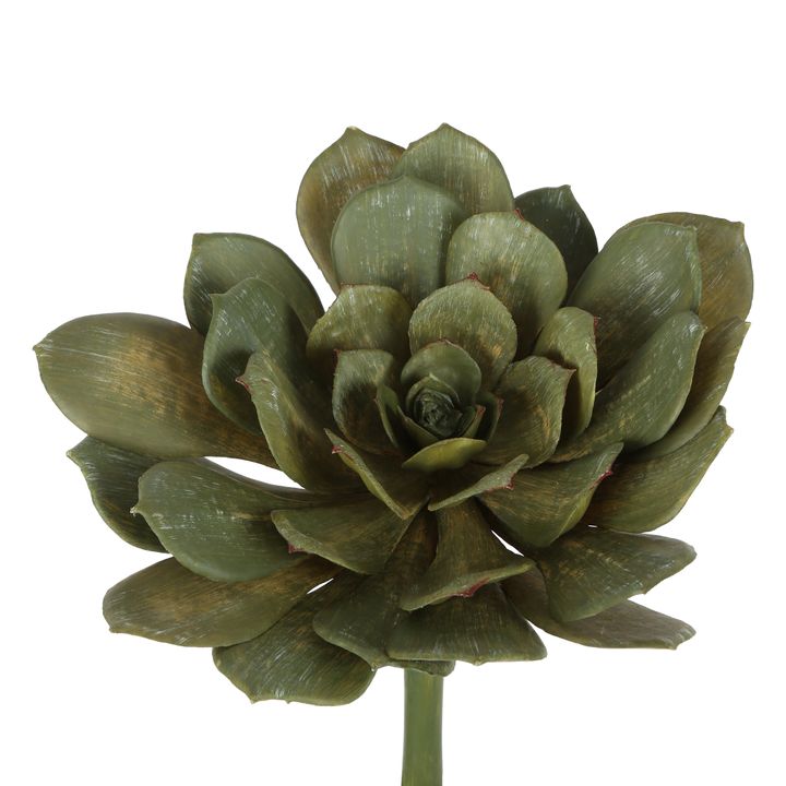 Succulent Large 22cm Green