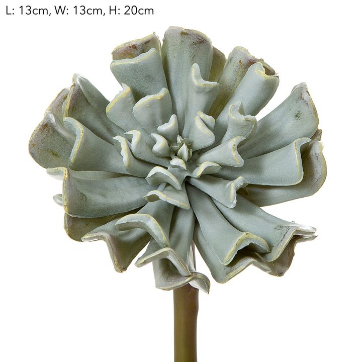 Wavy Succulent 20cm Grey