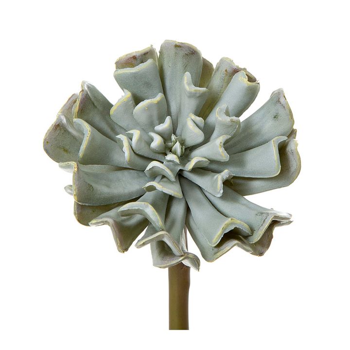 Succulent 20cm Grey