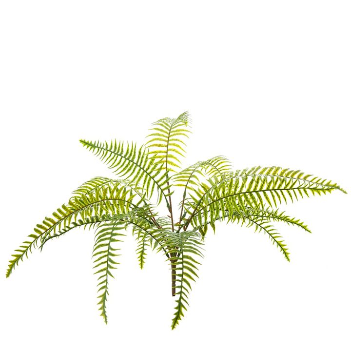 Fern Pick 50cm Green