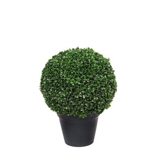 Boxwood Ball Potted 42cm