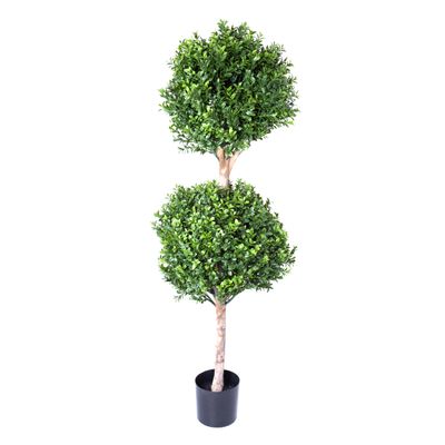 Boxwood Double Ball Tree 1.1m