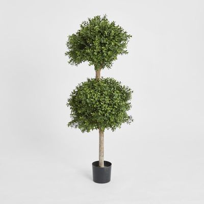 Boxwood Double Ball Tree 1.1m