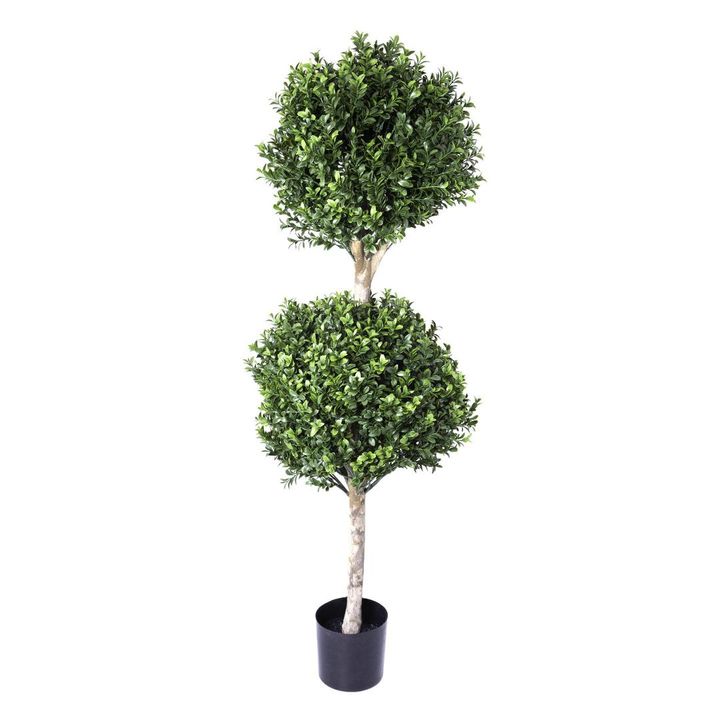 Boxwood Double Ball Tree 1.1m