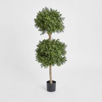 Boxwood Double Ball Tree 1.1m