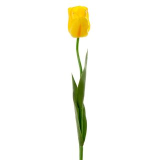Tulip Real Touch 67cm Yellow