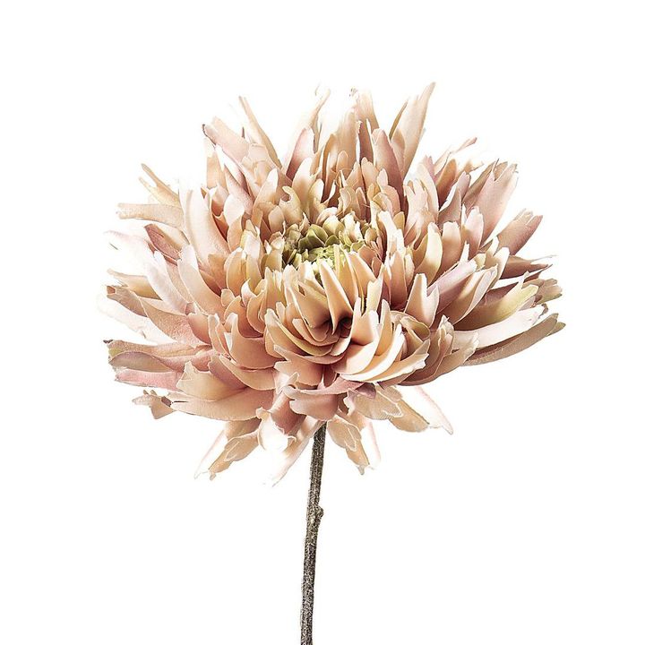 Dahlia Spray 56cm Light Pink