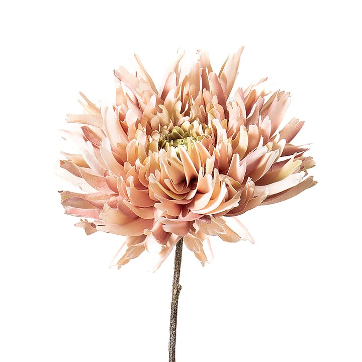 Dahlia Spray 56cm Light Pink