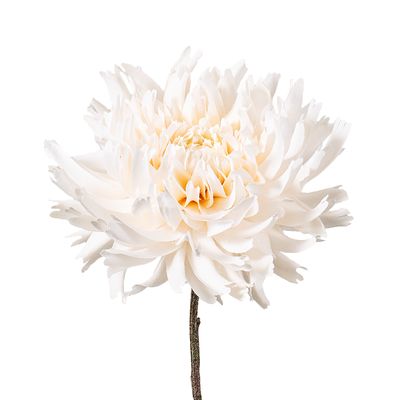 Dahlia Spray 56cm Cream