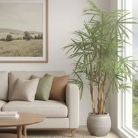 Honey Lady Palm 1.4m